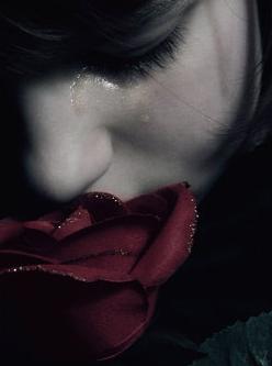 2456613184_7165eb4bb3_o