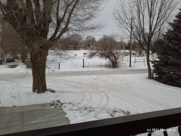 It's got a beautiful view out the balcony