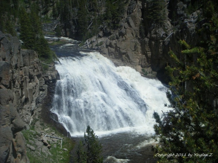 Gibbons Fall, Yellowstone