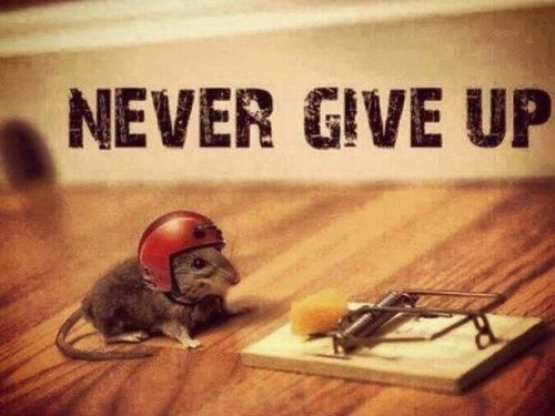 Funny-Short-Motivational-Quotes1