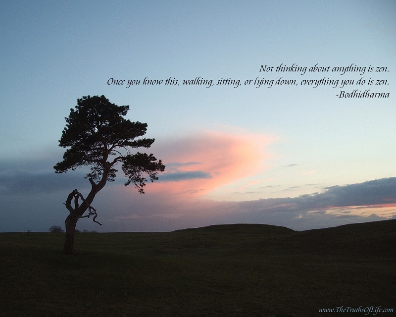 Zen Quote