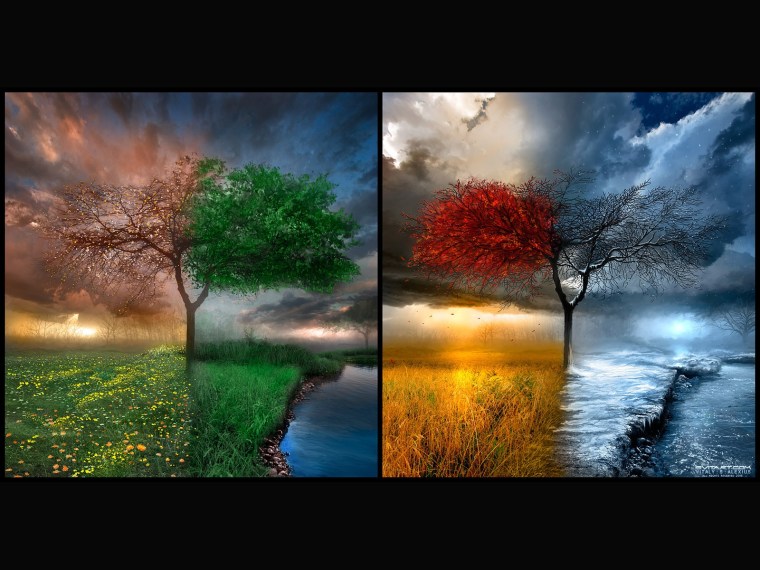 Four Seasons Photo