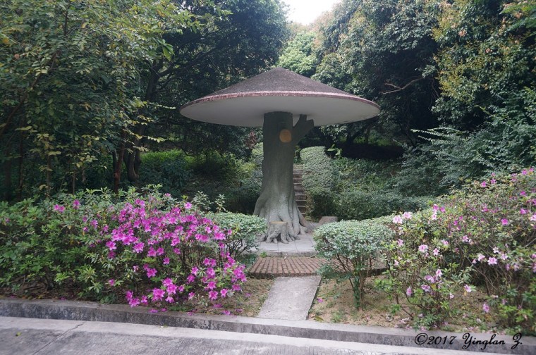 mushroom-pavilion