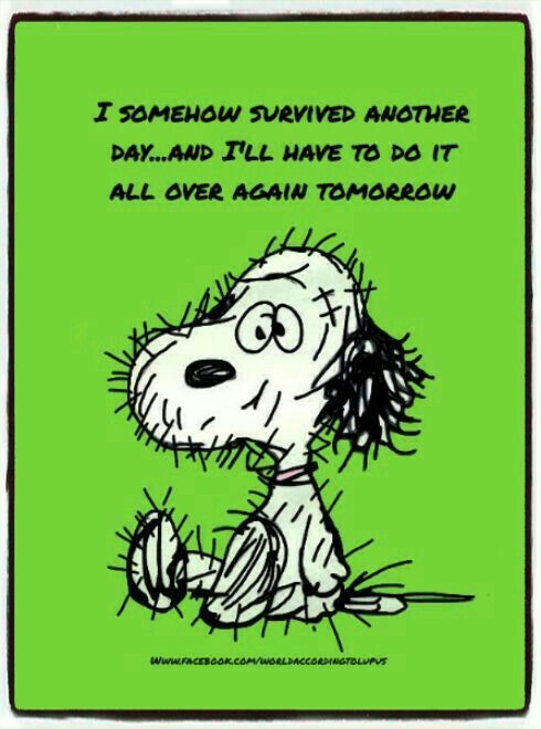 Hump Day Humor! – This is Another Story display picture 1