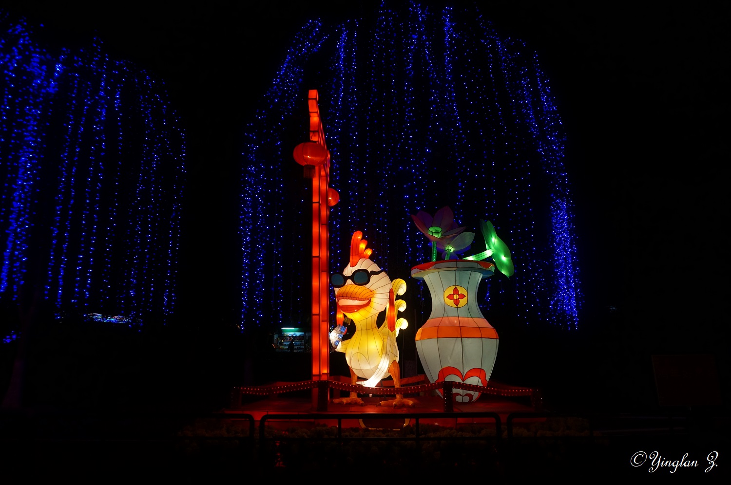 Chicken with a microphone in hand